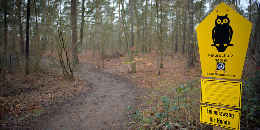 Blick auf einen Weg in den Wald