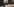 Ein Wolfshund schaut durch ein fenster in das Wohnzimmer