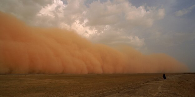 eine Person in der Wüste blickt einem Sandsturm entgegen