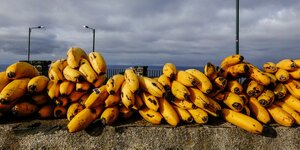 Bananen auf einer Mauer