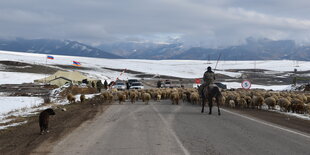 Ein Reiter steht mit einer Schafsherde am Grenzpunkt Armenien-Bergkarabach