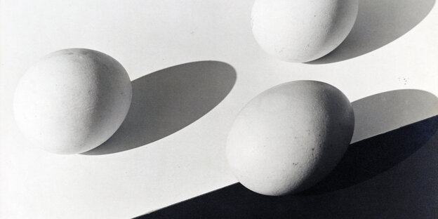 Drei Eier und ihre Schatten vor einem schwarzweißen Hintergrund
