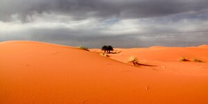 Blick auf die Sahara in Marokko