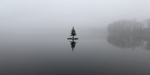 Kunstinstallation von Inge Mahn und Vlado Velkov: Ein Tannenbaum schwebt über dem Wolziger See