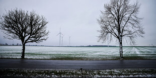 Das Foto zeigt ein weites Feld hinter einer Straße bei Ahrensfelde, an der Grenze zwischen Berlin und Brandenburg.