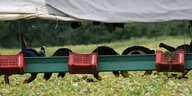 Gurkenflieger im Einsatz bei der Ernte von Feldgurken – mit Erntehelfer­*innen auf dem Ausleger der Erntemaschine