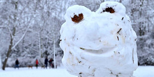 Kein Schneemann, sondern ein Schneefrosch.