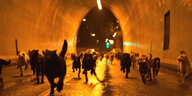 Hunde, die durch einen Tunnel hetzen.