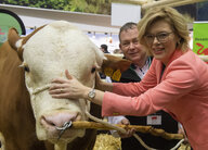 Ein Zuchtbulle wird betätschelt: 2020 ging das für Landwirtschaftsministerin Julia Klöckner auf der Grünen Woche noch