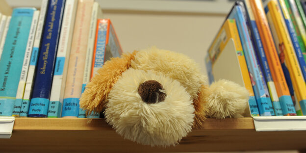 Ein Teddy liegt auf einem Bücherregal mit vielen Büchern