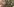 Der Vater von Bernando Fuster auf einem alten Foto mit anderen Nazis