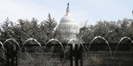 Das Capitol lugt hinter Bäumen und Stacheldraht hervor