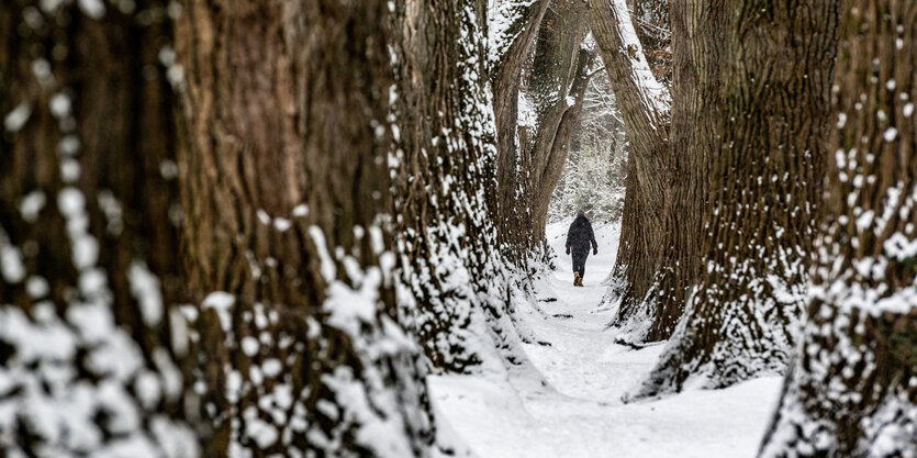 Eine Frau geht durch eine mit Schnee bedeckte Allee