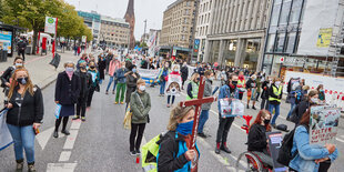 Demonstration auf dem Jungfernstieg gegen die Wiederaufnahme von Tierversuchen im LPT-Labor in Neugraben.