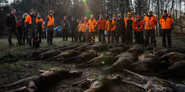 Tote Rehe und Schweine aufgereiht am Ende einer Jagd, dahinter die Jäger