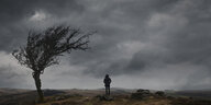 Karstiger Baum und Mensch vor dramatischen dunklen Wolken