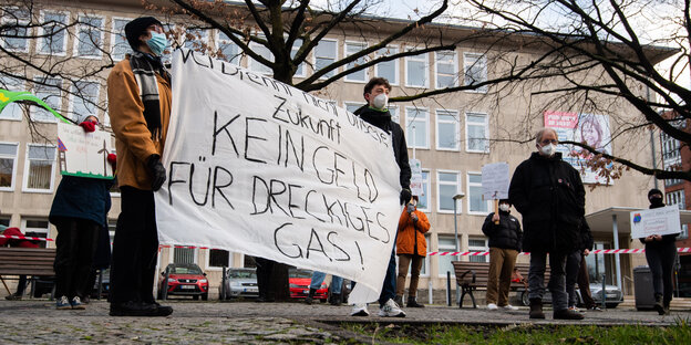 Umweltaktivisten protestieren vor dem niedersächsischen Landtag