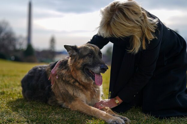 Die First Lady Jill Biden streichelt den Schäferhund Champ, der aus dem Tierheim adoptiert wurde