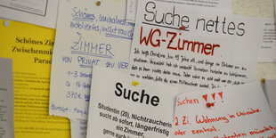 Mehrere Wohnungsgesuche hängen am am Schwarzen Brett einer Universität.