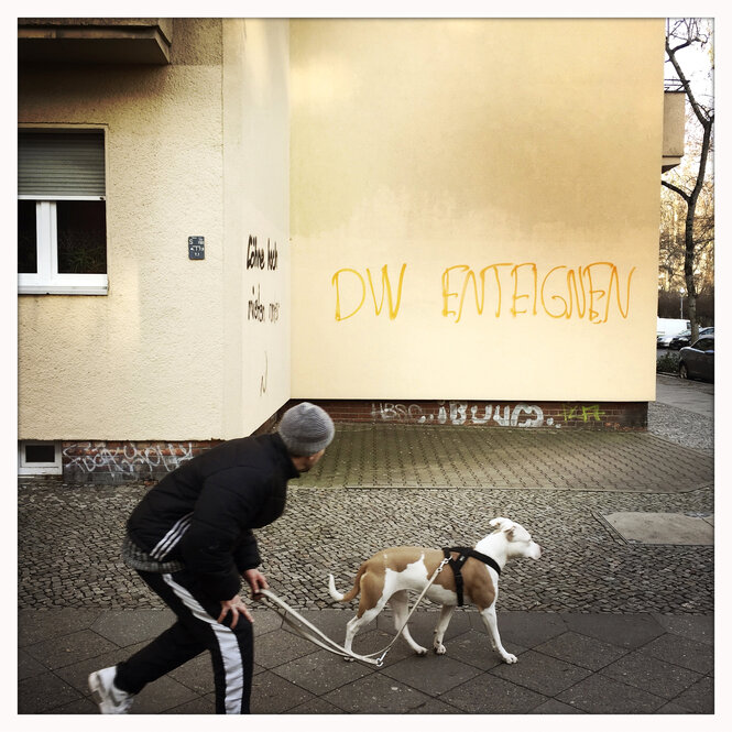 Ein schwarz gekleideter Mensch mit einem braun-weißen Hund an einer Leine geht an einem Wand-Graffiti "DW enteignen" vorbei.