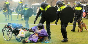 Polizisten umringen eine Demonstratin, die mit einem Rollstuhl umgefallen ist