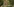 Ein Leopard sitzt im Zoo