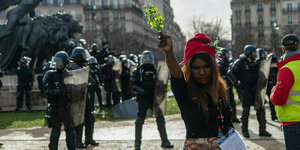 Demonstrantin mit Blume vor Polizisten