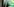 Eine dunkelhaarige Frau mit Brille lacht vor einem grünen Plakat