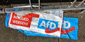 Abgerissene Plakate mit AfD Logo liegen auf dem Boden