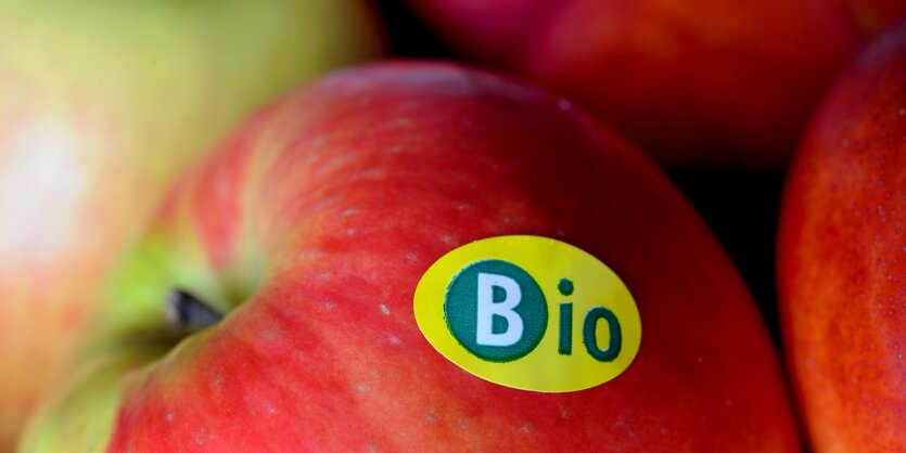 Roter Apfel mit Aufkleber Bio