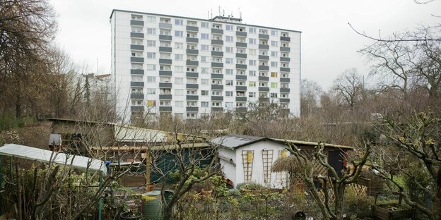 Das Foto zeigt eine winterliche Kleingartenanlage vor einem großen Wohnhaus in Berlin.