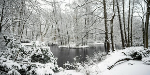 Verschneiter Tiergarten