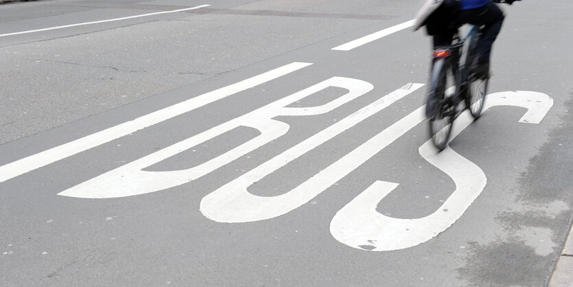 Fahrradfahrer auf Busspur