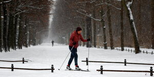 ein Frau fährt auf Langlaufskiern durch den Tiergarten