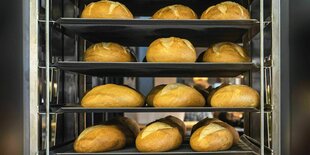 Aufbackbrötchen liegen gestapelt auf Blechen übereinander