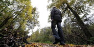Aufnahme vom Boden: ein Mann geht auf einem Waldweg entlang, man sieht ihn nur von hinte