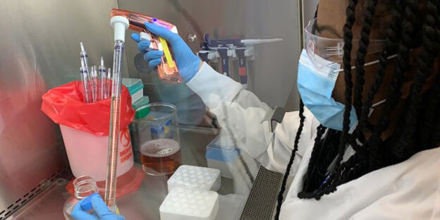 Adrienne Gilkes, Mitarbeiterin der US-Firma Regeneron, pipettiert Zellkulturmedien in einer mikrobiologischen Werkbank im Labor für Infektionskrankheiten