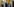 Joe Biden an einem Rednerpult im Weißen Haus