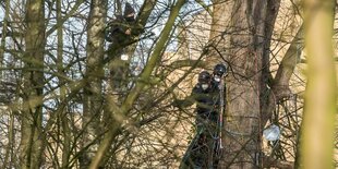 Oolizisten im Dickicht des Bahnhofswäldchens