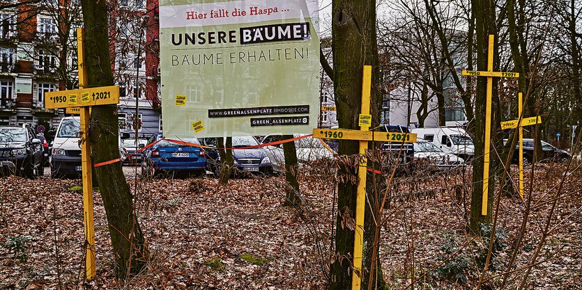 Gelbe Kreuze markieren die Kahlschlag-bedrohten Bäume