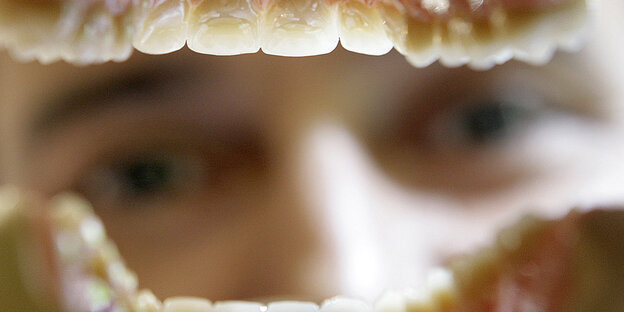 Ein Zahnarzt schaut in ein künstliches Gebiss hinein