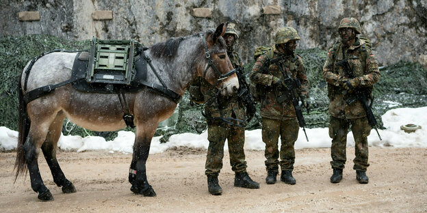 Soldaten vom Gebirgsjägerbataillon 23 laufen bei einer Übung mit einem Muli über den Übungsplatz