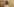 Screenshot von einem Profilbild