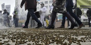 tote Bienen liegen auf der strasse