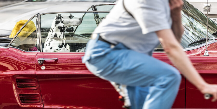 Eine Frau sitzt mit einem Dalmatiener in einem Oldtimer am Kurfüstdendamm in Berlin