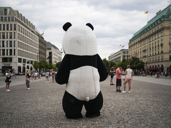 Mensch im Pandakostüm steht am Brandenburger Tor auf dem Pariser Platz