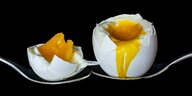 Ein weich gekochtes Ei