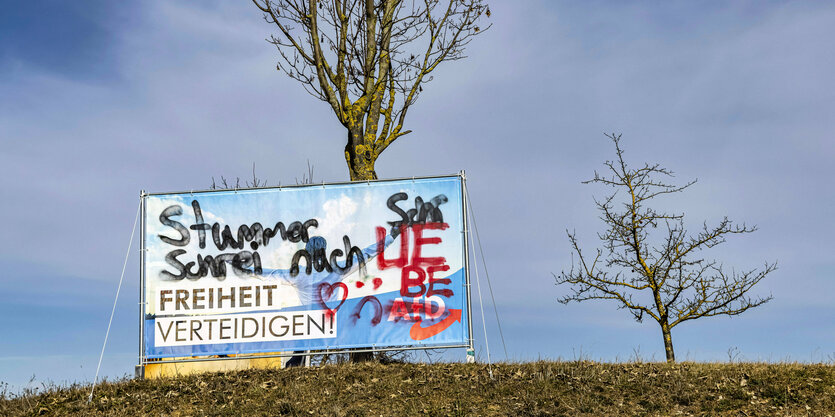 AfD-Wahlplakat in ländlichem Idyll, verziert von Unbekannten mit dem Zitat des antifaschistischen Ärztesongs "Schrei nach Liebe"