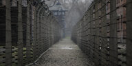 Blick zwischen die Zäune im Lager Auschwitz