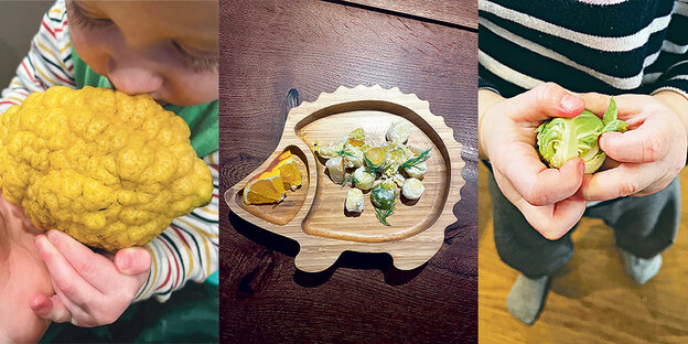 Drei Fotos nebeneinander: Ein Baby riecht an einer großen Zitrone, ein Brettchen in Form eines Igels mit Essen, Kinderhände halten Rosenkohl